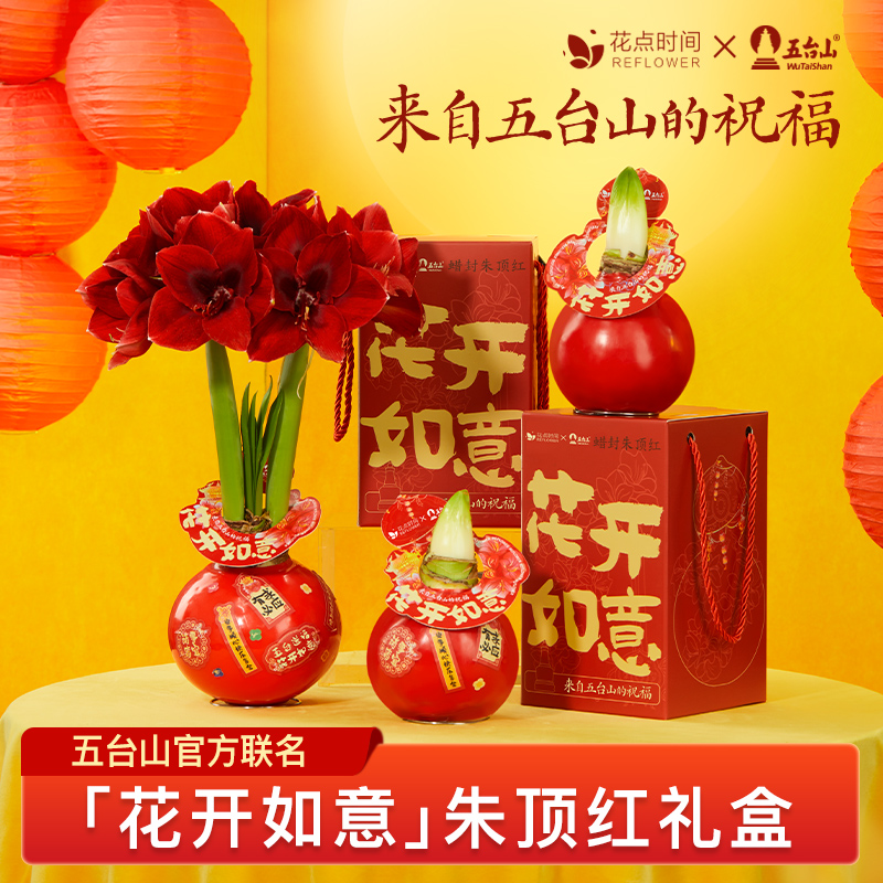 花點(diǎn)時(shí)間（reflower）花開如意-朱頂紅臘球