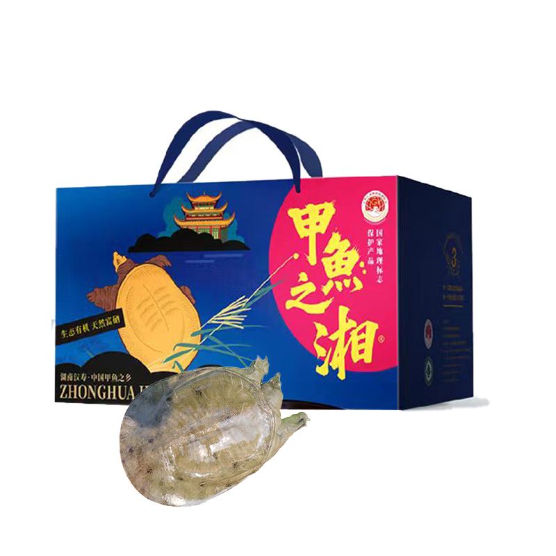 洞庭湖畔生態(tài)有機(jī)富硒甲魚2.5-2.7斤